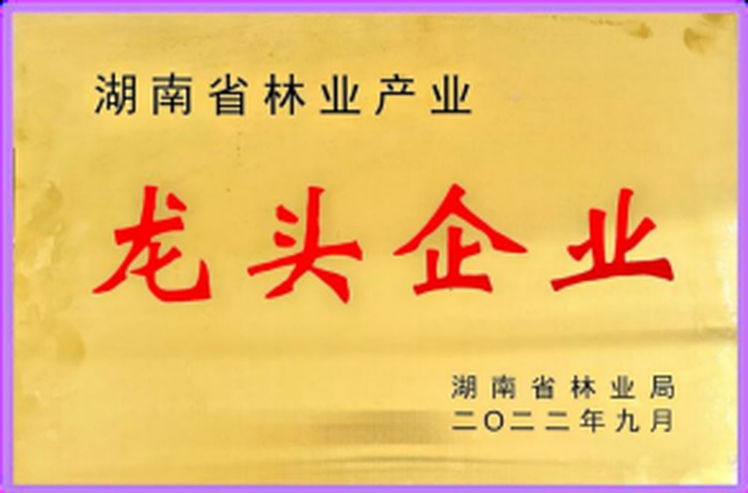 湖南省林业产业龙头企业证书